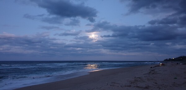 환하게 뜬 달. 바다 위로 달빛이 비춰 퍼져 나가고 있다. (사진=전수영 기자)