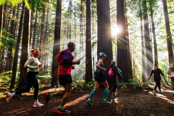 울창한 레드우드 숲을 달리는 장면. (사진=Run The Forest, Rotorua)