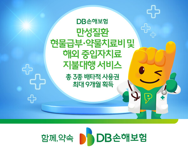 (이미지=DB손해보험)