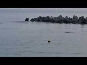 [전수영의 낚고 먹고] 무입질의 봉포해변 낚시...그래도 바다는 늘 좋다 - 뉴스 썸네일 이미지